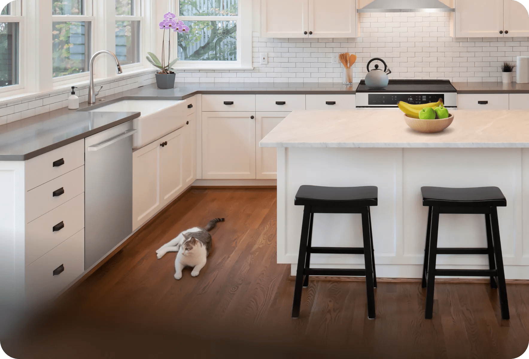 A cat sits peacefully in front of an LG dishwasher.