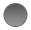 Black Stainless Steel swatch