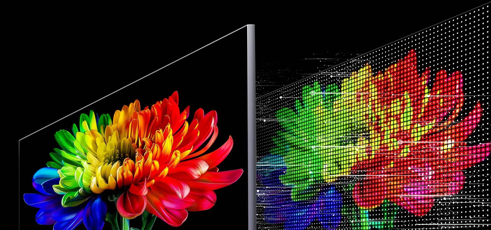 A visual comparing a vivid multicolor flower image with a pixel-level RGB light structure, illustrating detailed color reproduction enabled by LG Micro RGB evo.