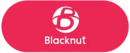 Blacknut Cloud Gaming logo on a pink background.