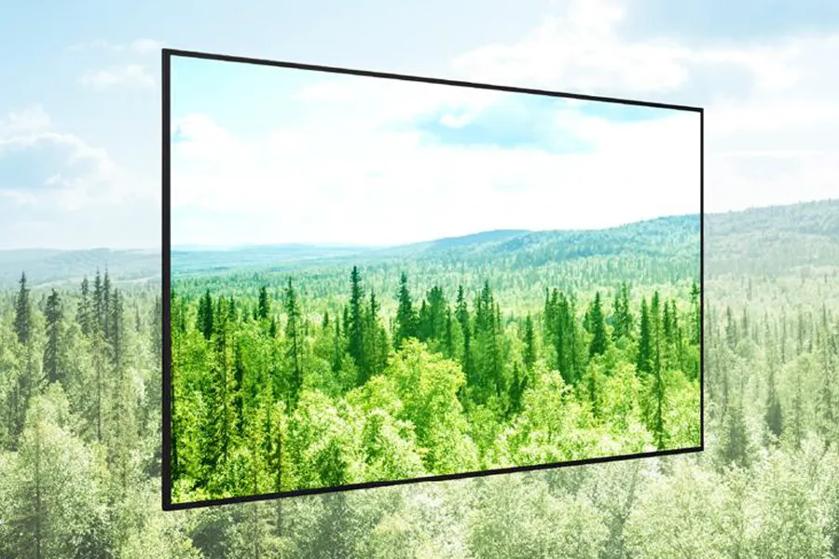 A forest landscape with a framed section displaying brighter and more vibrant colors.
