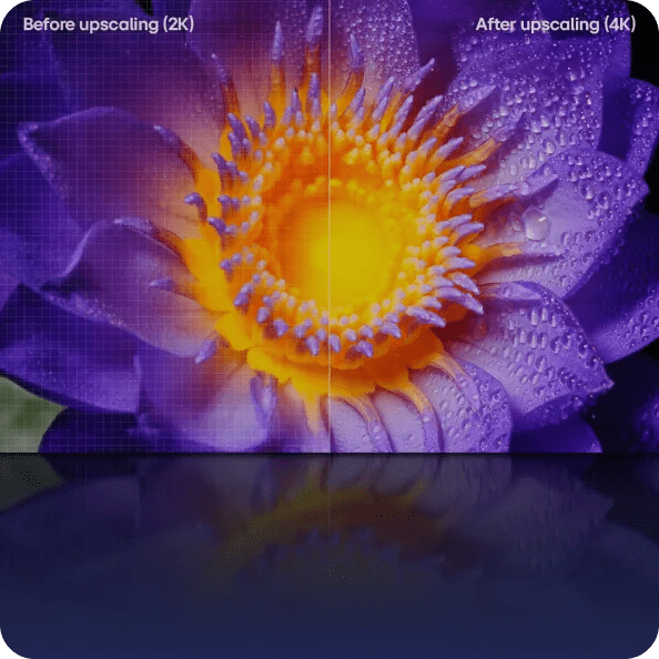 Split image of a purple flower with yellow center, left side labeled “Before upscaling (2K)” with visible grid, right side “After upscaling (4K)” with sharper detail and water droplets.