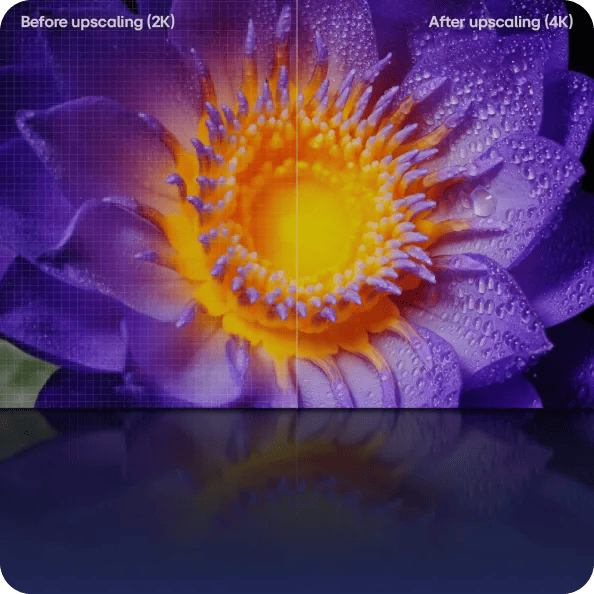 Split image of a purple flower with yellow center, left side labeled “Before upscaling (2K)” with visible grid, right side “After upscaling (4K)” with sharper detail and water droplets.