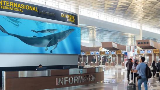 Airport interior with large direct view led display behind the information desk.