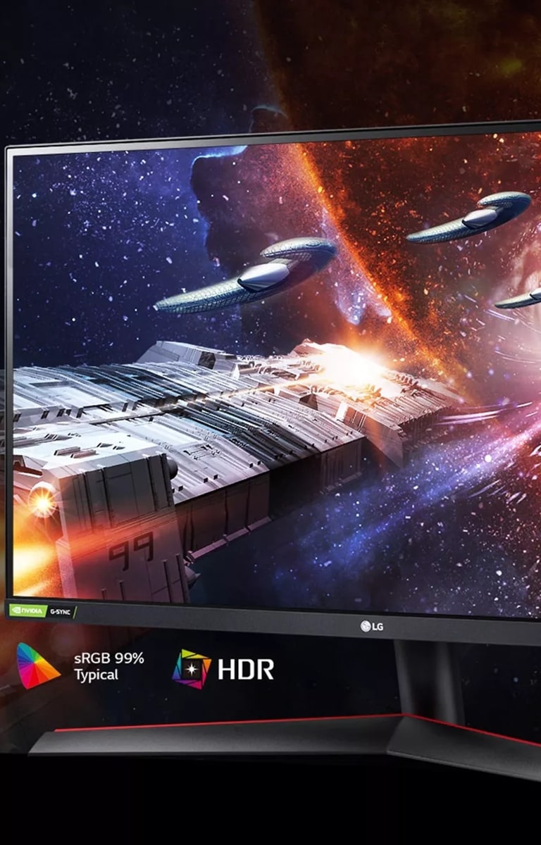 LG UltraGear 24GN600-B「kamome」 24