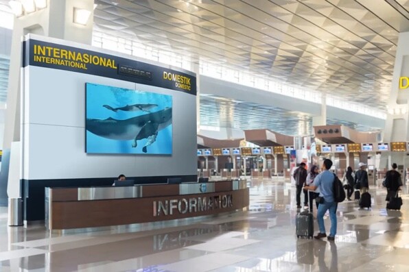 Modern airport terminal with an information desk, whale image on a screen above, and international and domestic flight signs.