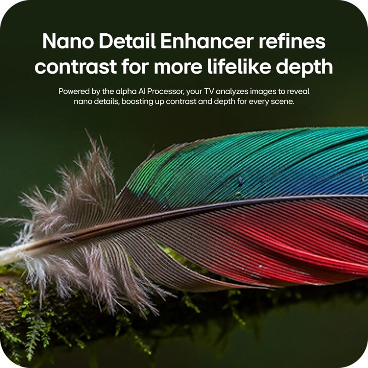 85-Inch LG 85NU850BPUA TV Nano Detail Enhancer infographic showing colorful feather with enhanced contrast and depth powered by alpha AI Processor