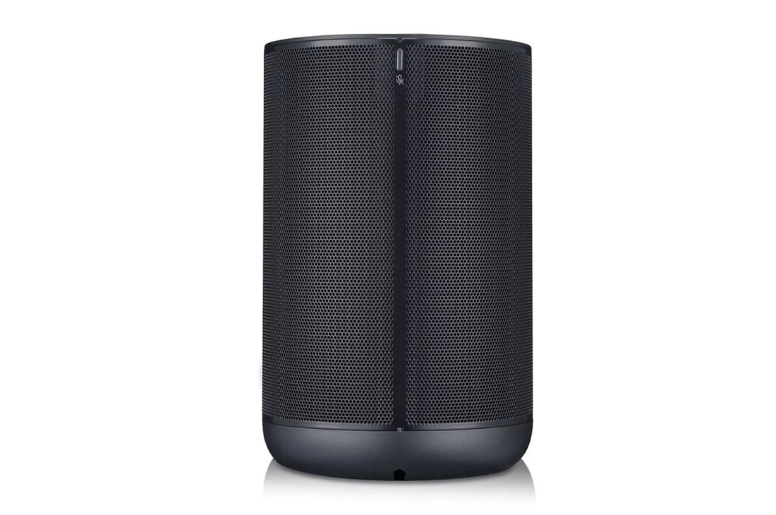 Lg wifi deals speaker application