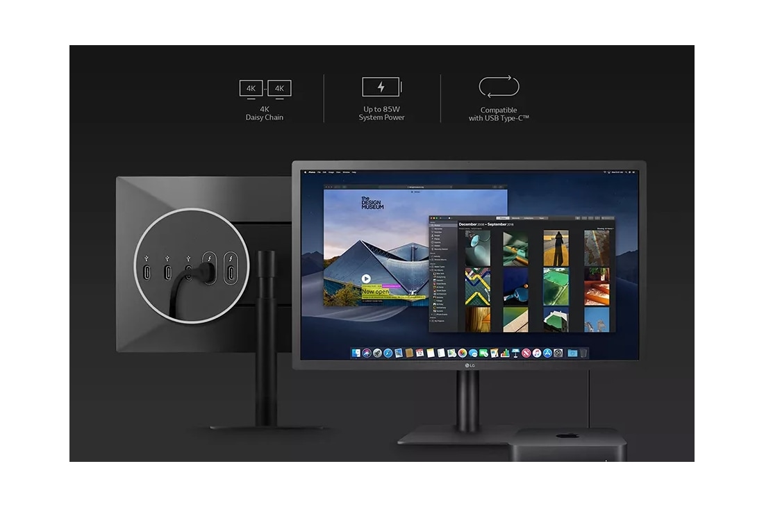  LG Monitor IPS UHD 4K Ultrafine™ de 24 pulgadas 24MD4KLB-B con  2X Thunderbolt™ 3, 3X USB Type-C™, admite brillo DCI-P3 y 500nits, cadena  margarita 4K y compatible con macOS, negro 