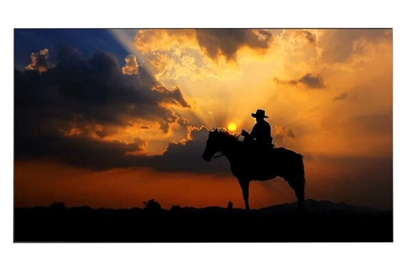 55VX1D gallery image 1