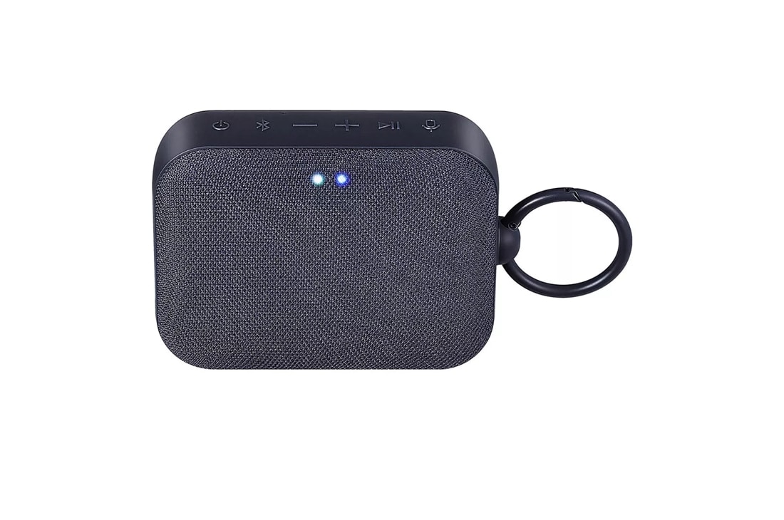 1. Giới thiệu về Loa LG PL1