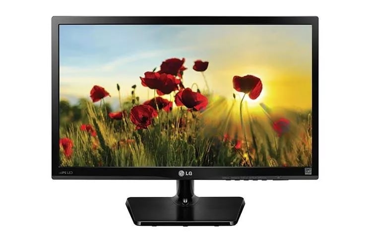 LG Monitor LED LCD de 22 pulgadas