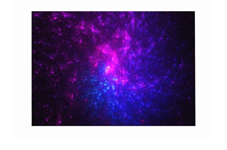 LDAA025-MD.AUSQ