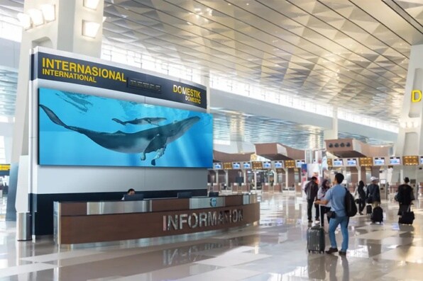 An information desk in a modern airport terminal with a large screen displaying whales underwater.