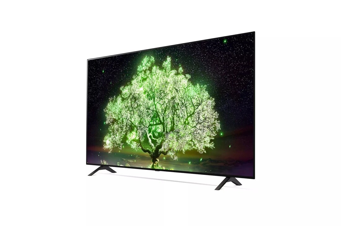 LG A1 65 inch Class 4K Smart OLED TV w/ ThinQ AI® (64.5'' Diag)