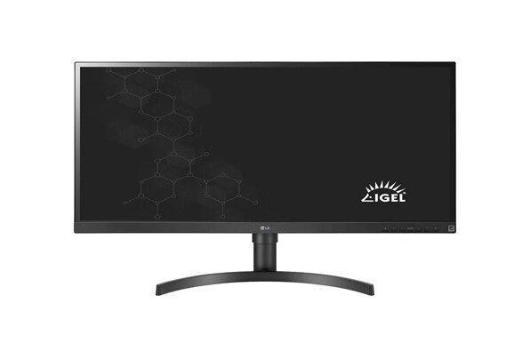 34” FHD All-in-One Thin Client with IGEL® OS | 34CN650i-6N | LG US