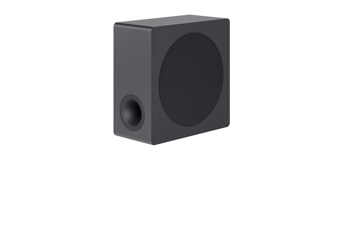 Lg best sale z80 speaker