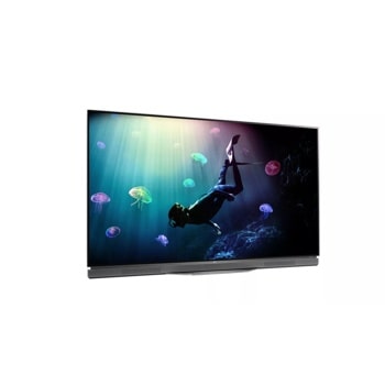 LG OLED55E6P: E6 55 Inch Class OLED 4K HDR Smart TV | LG USA