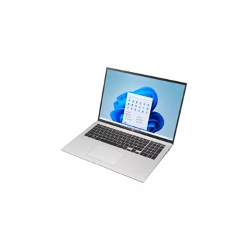 LG gram 17” Ultra-Lightweight and Slim Laptop with Intel® Evo 11th