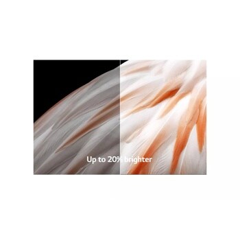 LG OLED evo C3 42 inch 4K Smart TV 2023