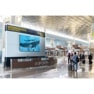 Modern airport terminal with an information desk, whale image on a screen above, and international and domestic flight signs.
