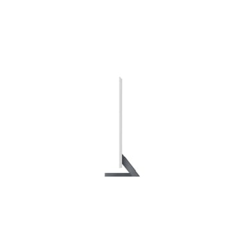 LG GX OLED 55 inch TV Stand Mount