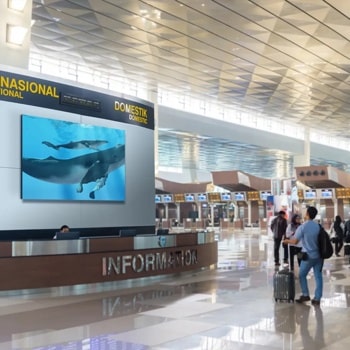 Modern airport terminal with an information desk, whale image on a screen above, and international and domestic flight signs.1