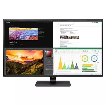 LG 43'' Class 4K UHD IPS LED Monitor (42.5'' Diagonal) (43UD79-B 