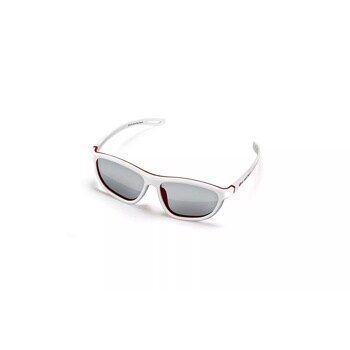 Dual Play Gaming Glasses