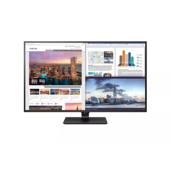 LG 43'' Class 4K UHD IPS LED Monitor (42.5'' Diagonal) (43UD79-B