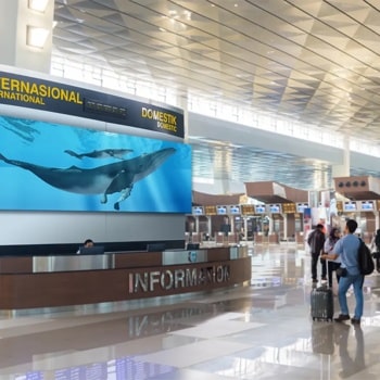 An information desk in a modern airport terminal with a large screen displaying whales underwater.1