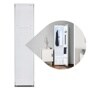 LG Styler® Smart Wi-Fi Enabled Steam Closet with TrueSteam® Technology and Exclusive Moving Hangers S3WFBN