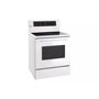 6.3 cu. ft. Electric Single Oven Range with True Convection and EasyClean®