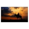 55VX1D gallery image 1