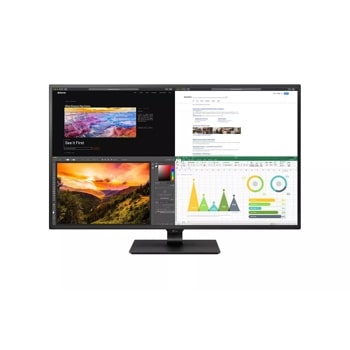 43" LG 4K UHD Monitor for Business