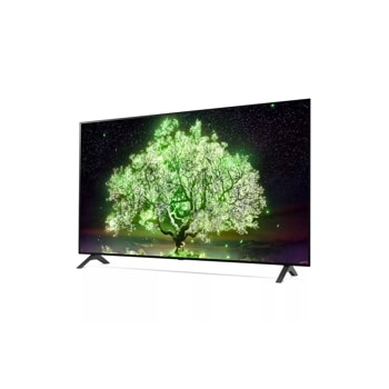 LG A1  4K Smart OLED TV w/ ThinQ AI®