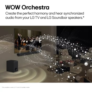 WOW Orchestra 