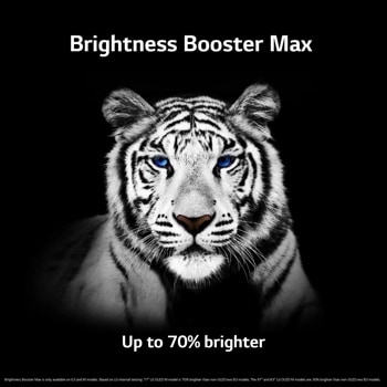 Brightness Booster Max
Up to 70% brighter
Brightness Booster Max is only available on G3 and M models. Based on LG internal testing: 77" LG OLED M model is 70% brighter than non-OLED evo B3 models. The 97" and 83" LG OLED M models are 30% brighter than non-OLED evo B3 models.