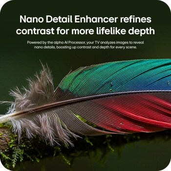65NU850BAUA Nano Detail Enhancer infographic showing colorful feather with enhanced contrast and depth powered by alpha AI Processor