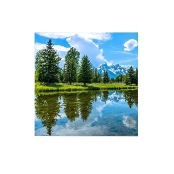 LFCG039-GN Product Thumbnail1