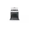 Freestanding Gas Range