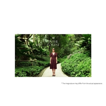 A person standing on a forest pathway surrounded by greenery with "IN THE FOREST" text above.1