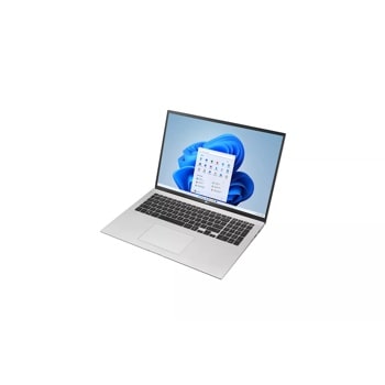 LG gram 17” Ultra-Lightweight and Slim Laptop with Intel® Evo 11th