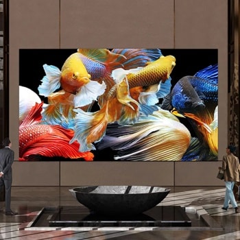 Hotel lobby with a large display of colorful fish.1