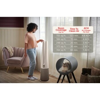 Filtration for Rooms Large and Small