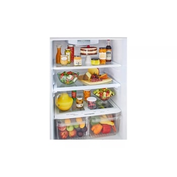 20 cu. ft. top freezer refrigerator interior view with items