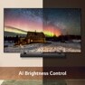 LG QNED TV AI brightness control