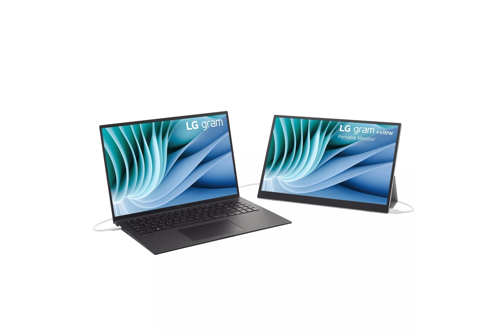 LG 16 Inch gram +view IPS Portable Monitor (16MR70.ASDU1), цвет: Wqxga 2560 X 1600 — фото 4