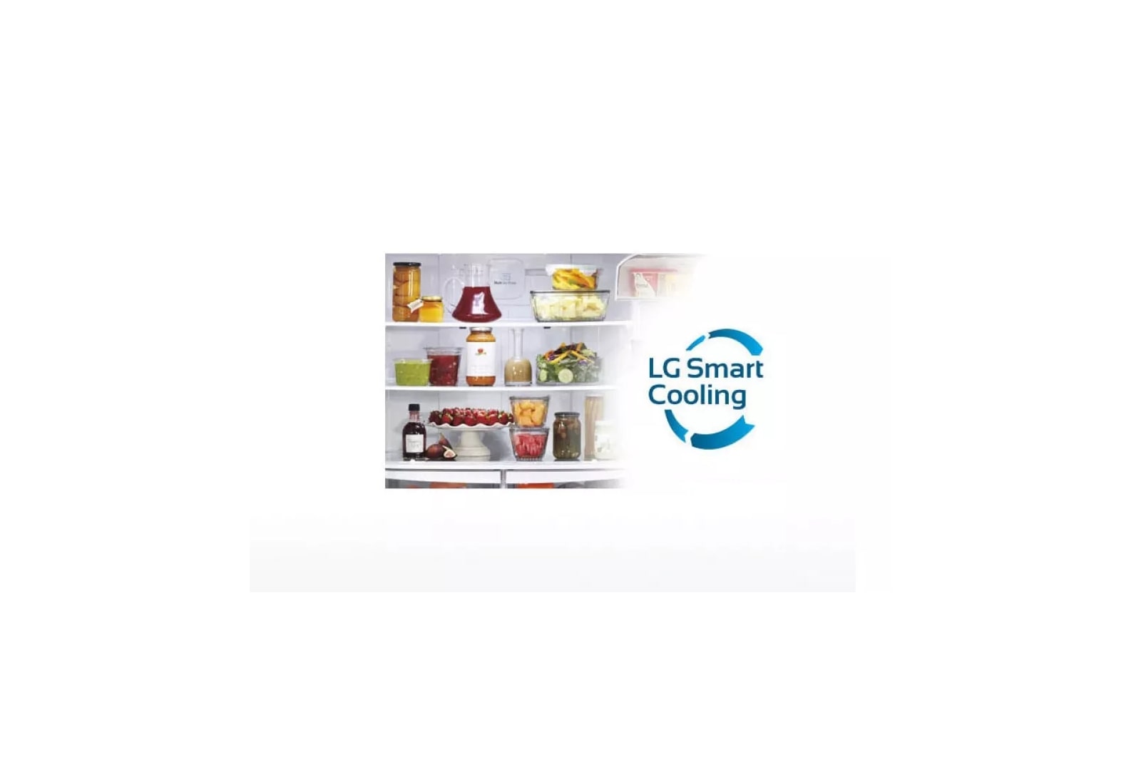 LG LDNS22220ST Bottom Mount Refrigerator