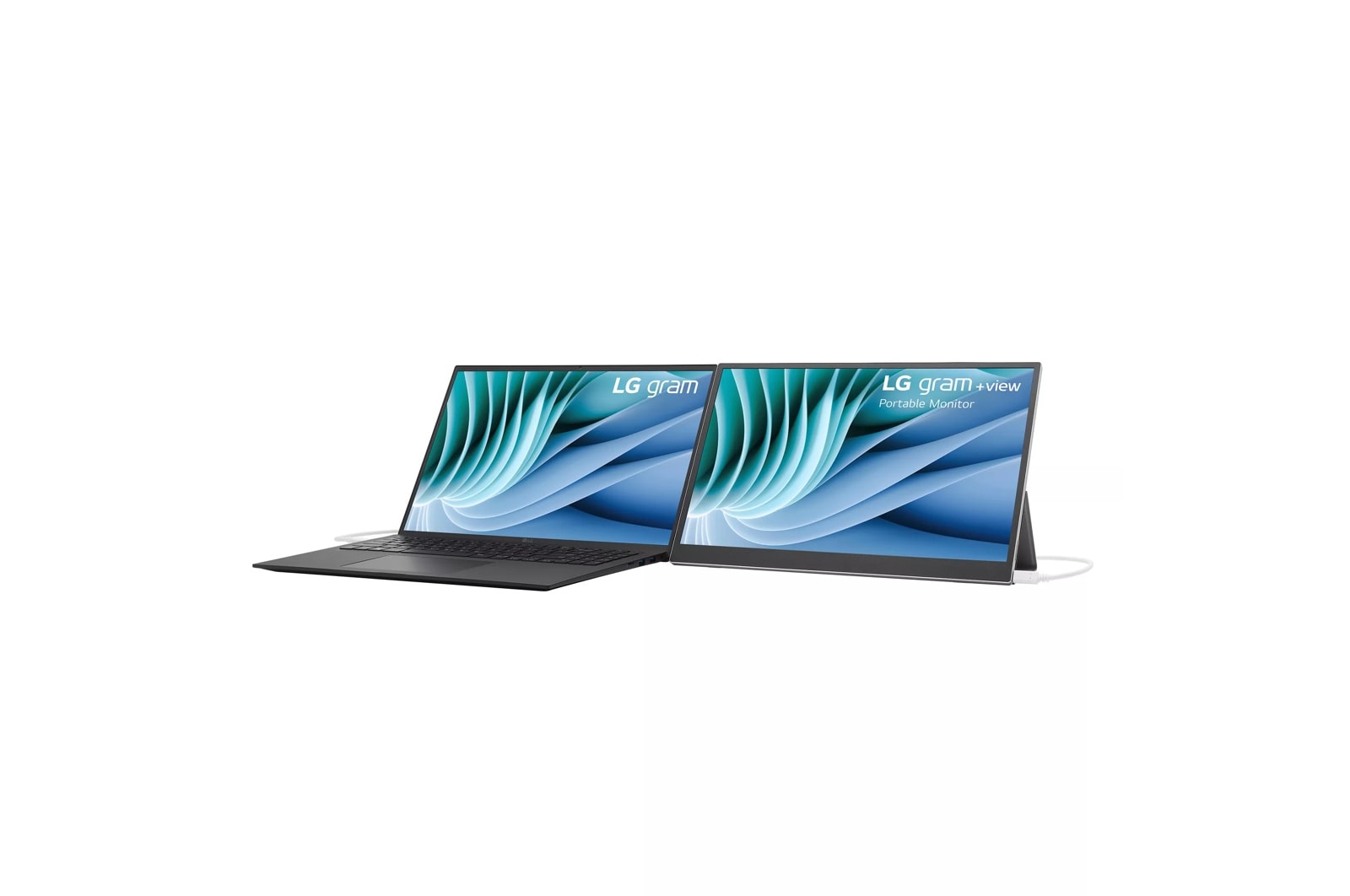LG 16 Inch gram +view IPS Portable Monitor (16MR70.ASDU1), цвет: Wqxga 2560 X 1600 — фото 3